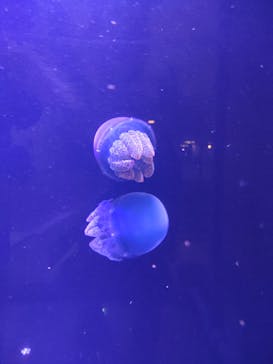 南知多ビーチランド＆南知多おもちゃ王国に投稿された画像（2024/3/18）