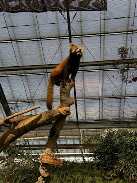 神戸どうぶつ王国に投稿された画像（2024/3/18）