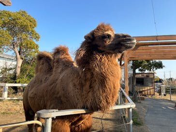 神戸どうぶつ王国に投稿された画像（2024/3/18）