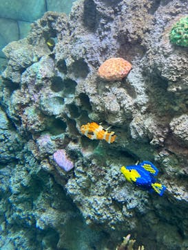 レゴランドⓇ・ジャパン・リゾートに投稿された画像（2024/3/18）