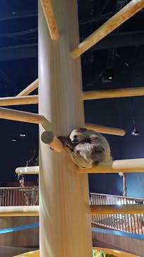 DMMかりゆし水族館に投稿された画像（2024/3/18）