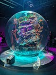 AQUARIUM × ART　atoaに投稿された画像（2024/3/18）