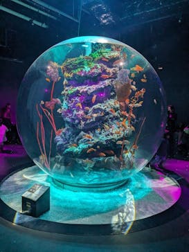 AQUARIUM × ART　atoaに投稿された画像（2024/3/18）