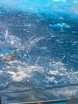 マクセル アクアパーク品川に投稿された画像（2024/3/18）