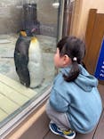下田海中水族館に投稿された画像（2024/3/18）
