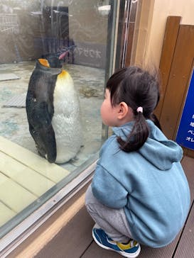 下田海中水族館に投稿された画像（2024/3/18）