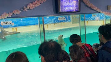 下田海中水族館に投稿された画像（2024/3/18）