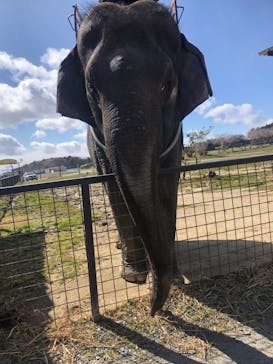 岩手サファリパークに投稿された画像（2024/3/18）