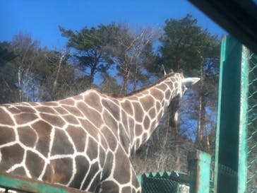 岩手サファリパークに投稿された画像（2024/3/18）