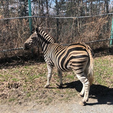 岩手サファリパークに投稿された画像（2024/3/18）