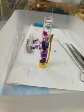 ずこうしつ〜sugamo〜に投稿された画像（2024/3/18）