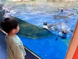 新江ノ島水族館に投稿された画像（2024/3/18）
