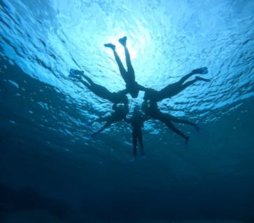 宮古島 ADVENTURE PiPi（ミヤコジマ アドベンチャー ピピ）に投稿された画像（2024/3/18）