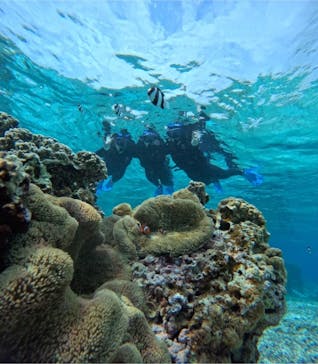 宮古島 ADVENTURE PiPi（ミヤコジマ アドベンチャー ピピ）に投稿された画像（2024/3/18）