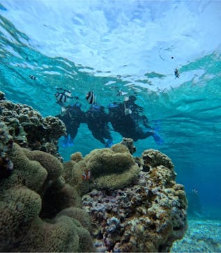 宮古島 ADVENTURE PiPi（ミヤコジマ アドベンチャー ピピ）に投稿された画像（2024/3/18）