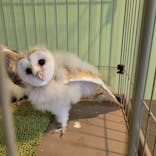 伊豆シャボテン動物公園に投稿された画像（2024/3/18）