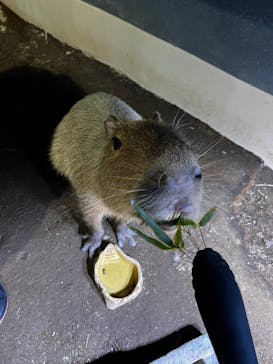 マクセル アクアパーク品川に投稿された画像（2024/3/18）