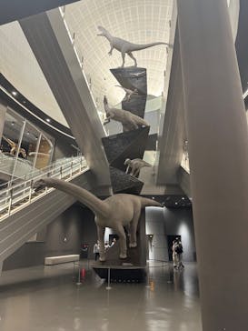 福井県立恐竜博物館に投稿された画像（2024/3/18）