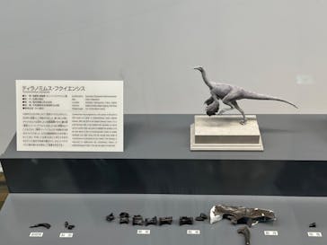 福井県立恐竜博物館に投稿された画像（2024/3/18）