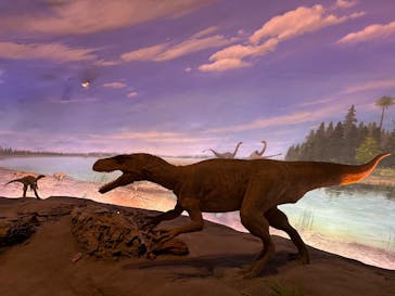 福井県立恐竜博物館に投稿された画像（2024/3/18）