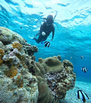 宮古島 ADVENTURE PiPi（ミヤコジマ アドベンチャー ピピ）に投稿された画像（2024/3/18）