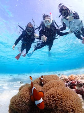 宮古島マリン GB QUESTに投稿された画像（2024/3/18）