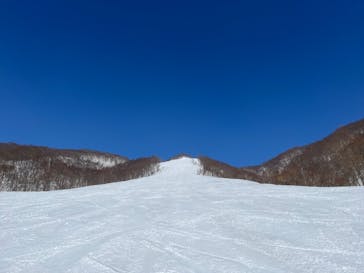 白馬コルチナスキー場に投稿された画像（2024/3/18）