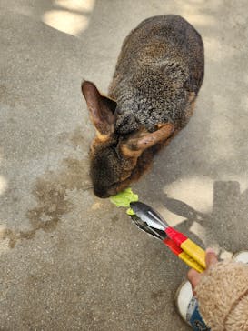神戸どうぶつ王国に投稿された画像（2024/3/18）