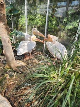 神戸どうぶつ王国に投稿された画像（2024/3/18）