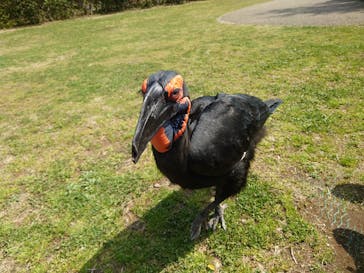 よこはま動物園ズーラシアに投稿された画像（2024/3/18）