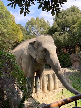 到津の森公園に投稿された画像（2024/3/19）