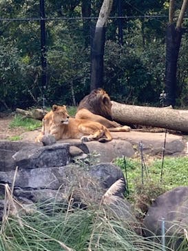 到津の森公園に投稿された画像（2024/3/19）