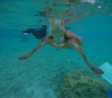 宮古島 ADVENTURE PiPi（ミヤコジマ アドベンチャー ピピ）に投稿された画像（2024/3/19）