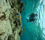 沖縄マリンサービス碧に投稿された画像（2024/3/19）