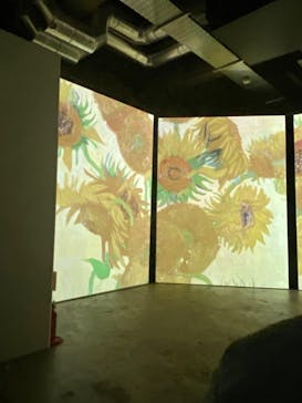 ゴッホ・アライブに投稿された画像（2024/3/19）