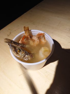 サンシャイン水族館に投稿された画像（2024/3/19）