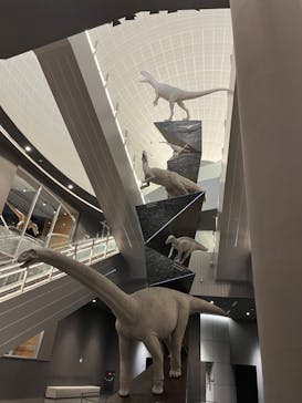 福井県立恐竜博物館に投稿された画像（2024/3/19）