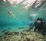 沖縄マリンサービス碧に投稿された画像（2024/3/19）