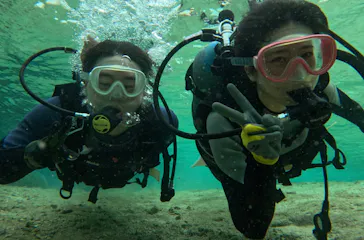 武藤潜水に投稿された画像（2024/3/19）