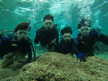 武藤潜水に投稿された画像（2024/3/19）