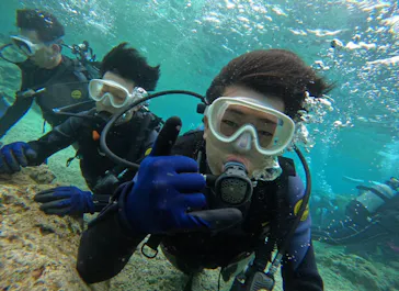 武藤潜水に投稿された画像（2024/3/19）