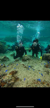 武藤潜水に投稿された画像（2024/3/19）