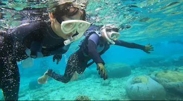 武藤潜水に投稿された画像（2024/3/19）