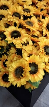 ゴッホ・アライブに投稿された画像（2024/3/19）