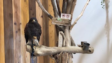 横浜・八景島シーパラダイスに投稿された画像（2024/3/19）