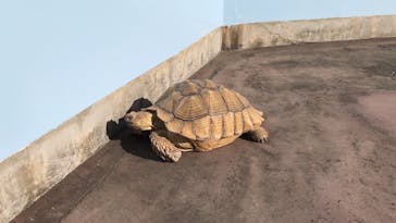 横浜・八景島シーパラダイスに投稿された画像（2024/3/19）