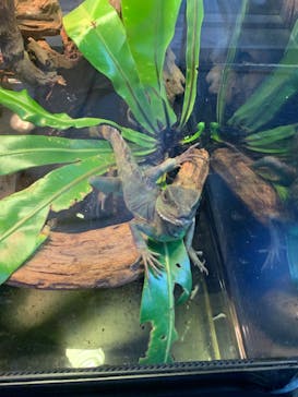 DMMかりゆし水族館に投稿された画像（2024/3/19）