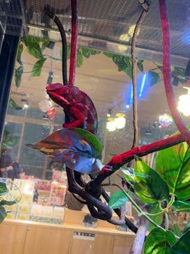 DMMかりゆし水族館に投稿された画像（2024/3/19）