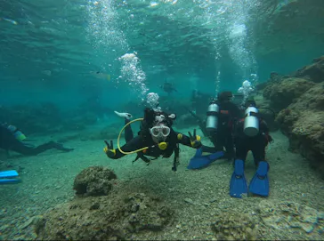 武藤潜水に投稿された画像（2024/3/19）