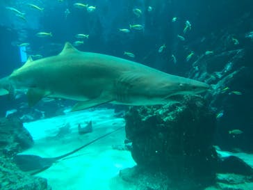 マリンワールド海の中道に投稿された画像（2024/3/19）